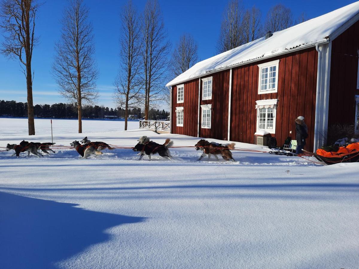 Camp Route 45 Hotel Hammerdal Exterior foto